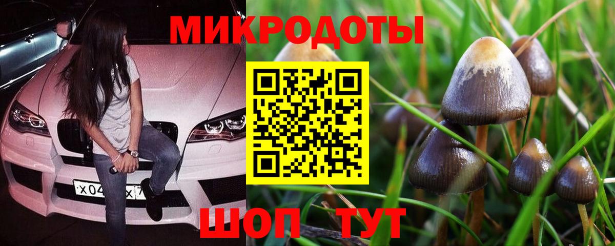 Волжск  Галлюциногенные грибы GOLDEN TEACHER  Вход с VPN 